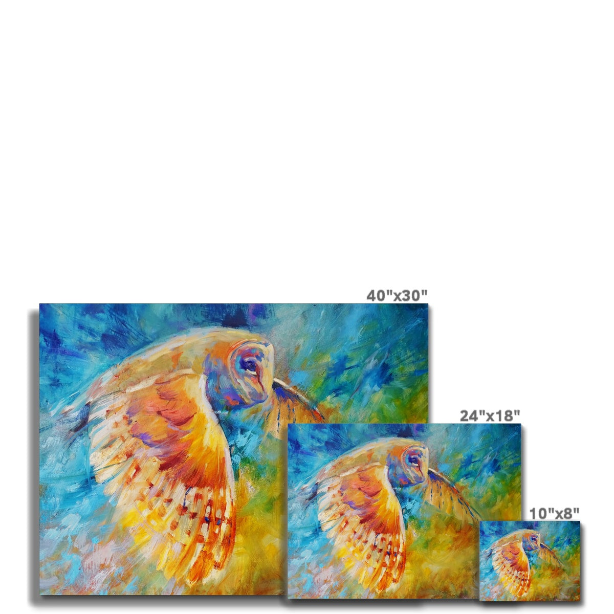 Air Disturbance - Owl in Flight Canvas