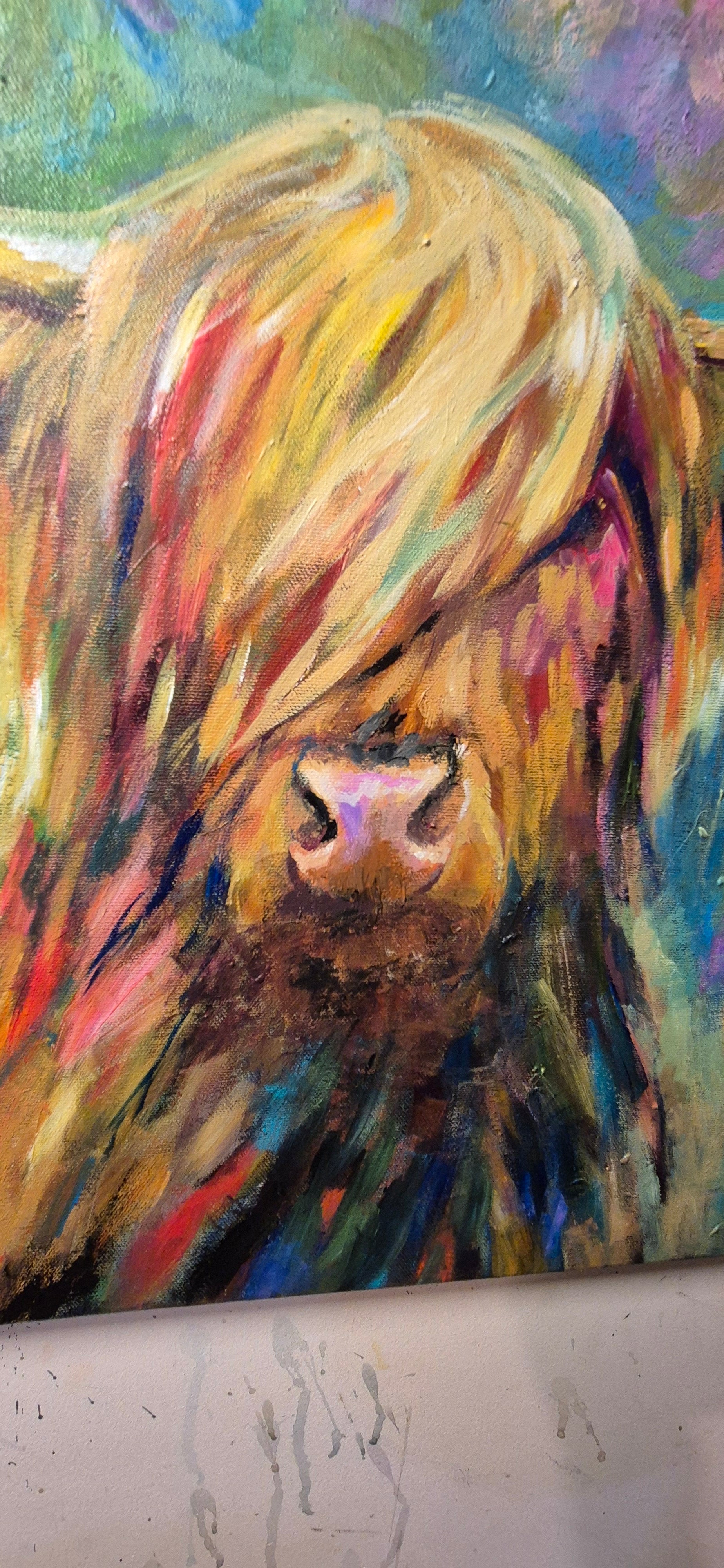 'Orchy' - Highland Cow Painting 50 x 50 cm/ 20 x 20"