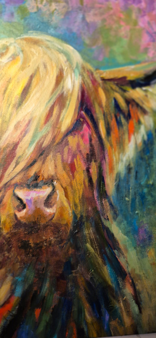 'Orchy' - Highland Cow Painting 50 x 50 cm/ 20 x 20"