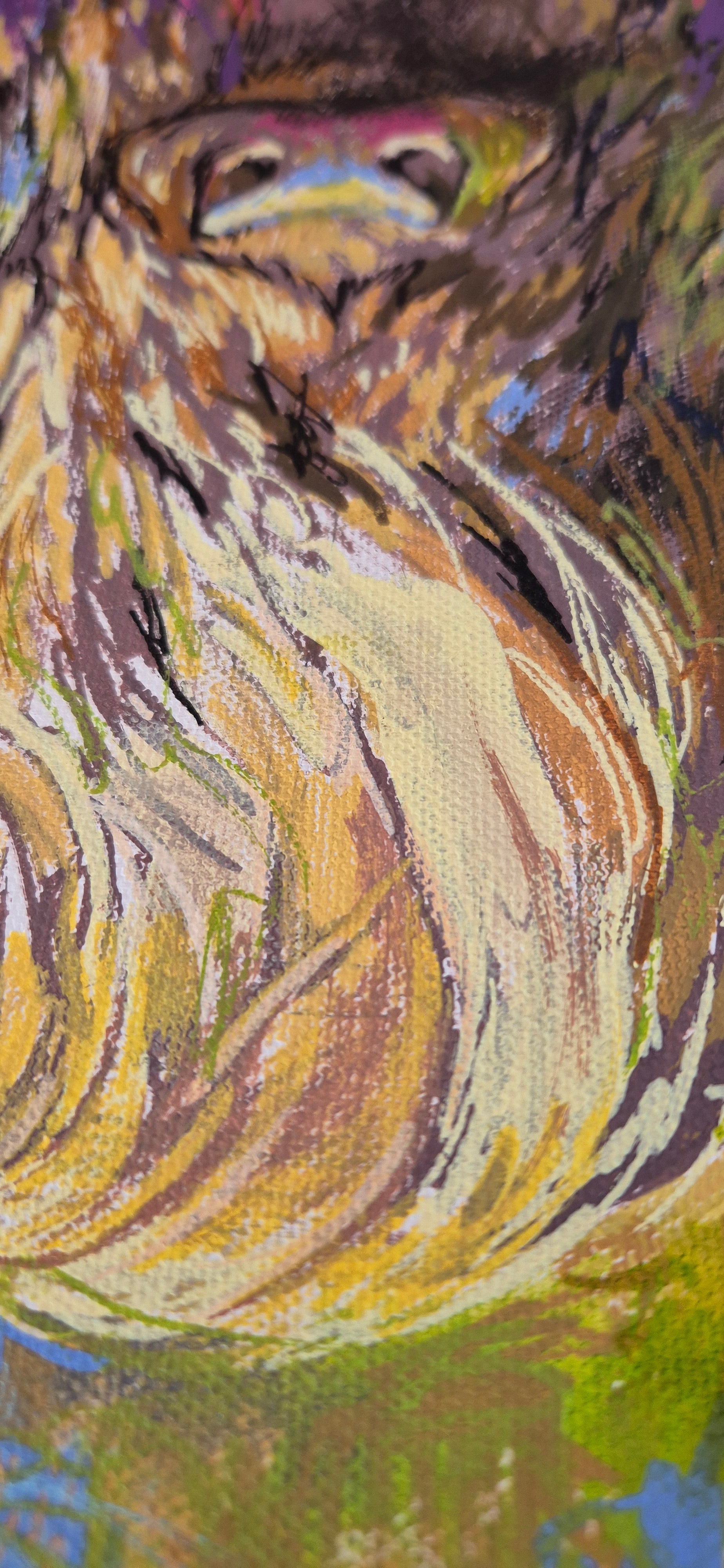 *Sold 'Highland Cow' Acrylic Drawing on Stretched Canvas 28 x 28 cm/ 11" x 11"