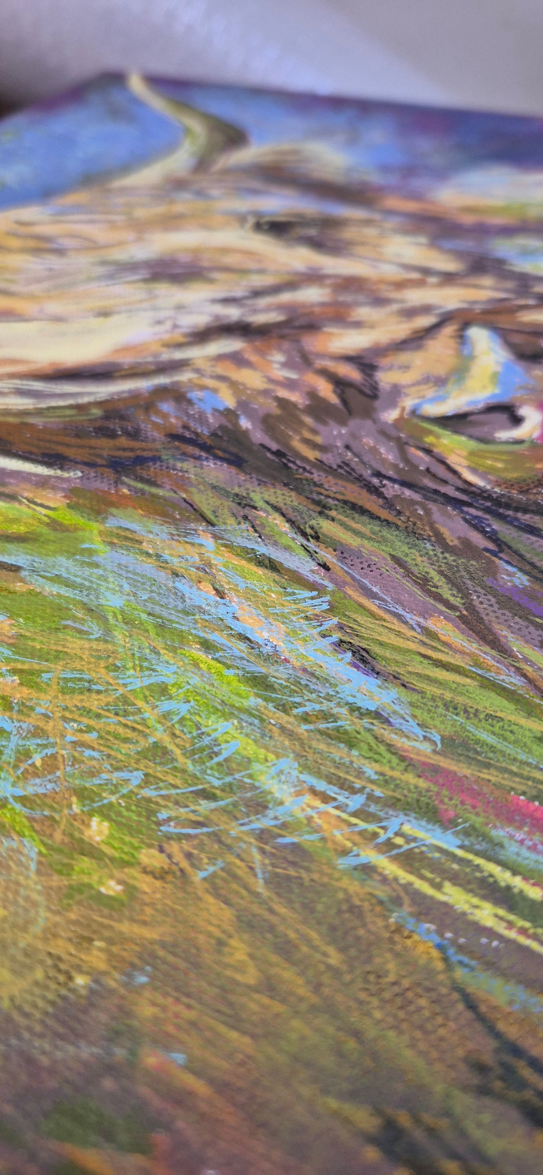 *Sold 'Highland Cow' Acrylic Drawing on Stretched Canvas 28 x 28 cm/ 11" x 11"