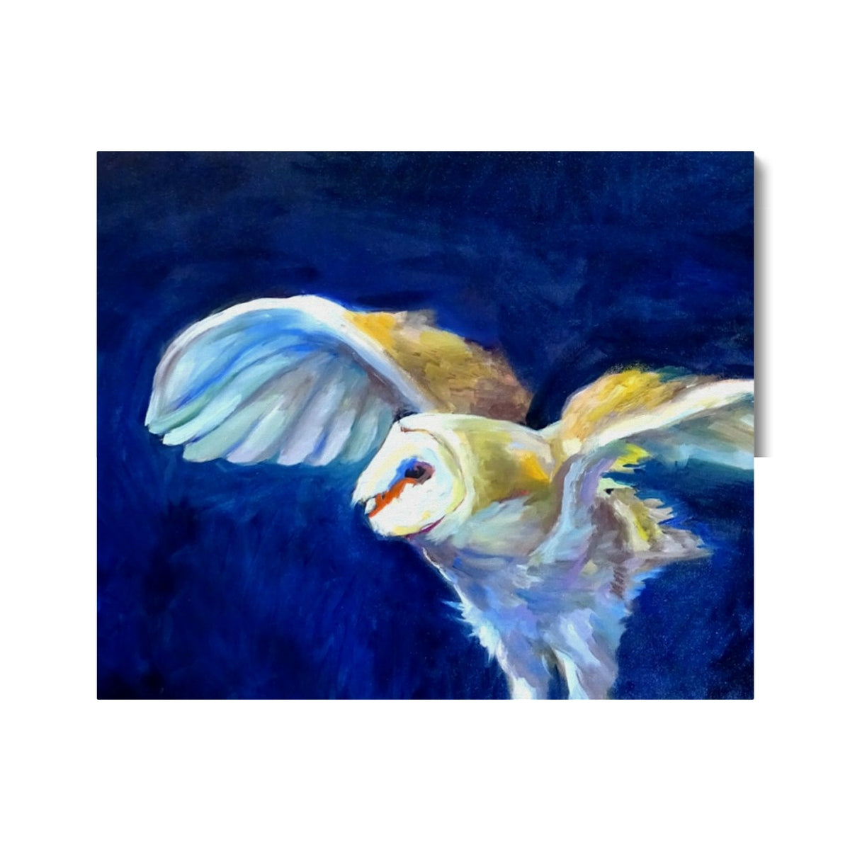 image7
