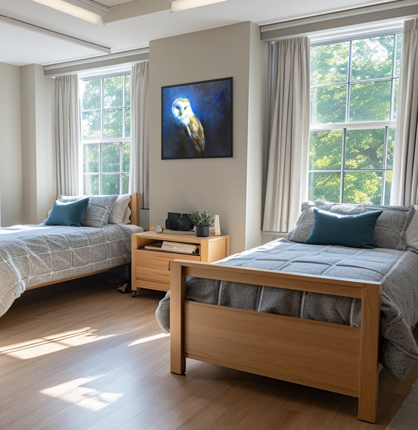 Barn Owl Framed Canvas