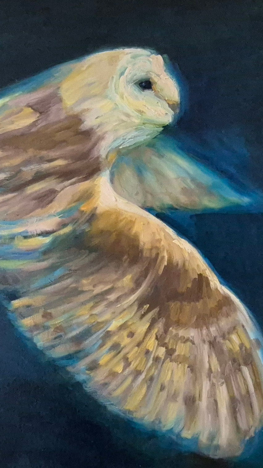 **Sold     'Free to Fly' - Original Barn Owl Oil Painting - 50 x 80 cm