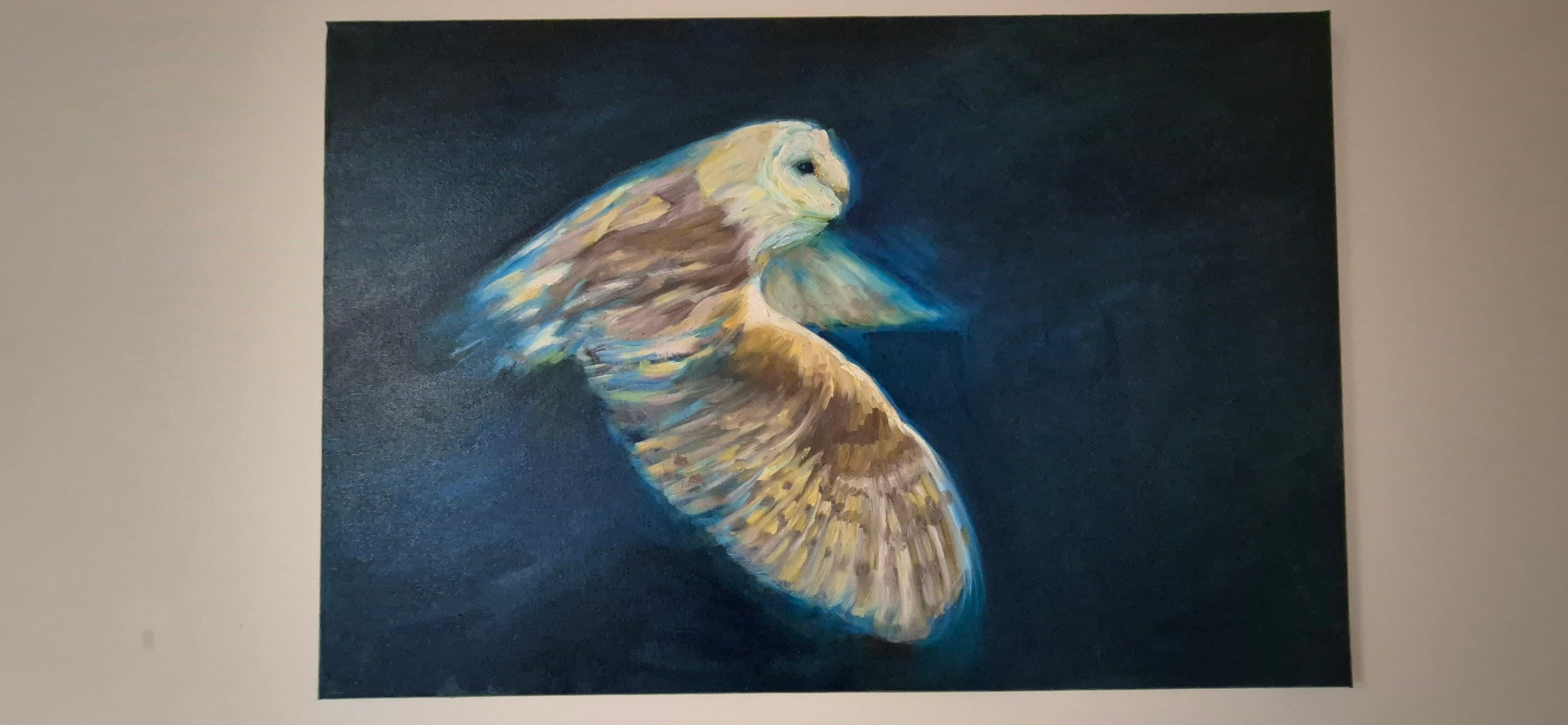 **Sold     'Free to Fly' - Original Barn Owl Oil Painting - 50 x 80 cm