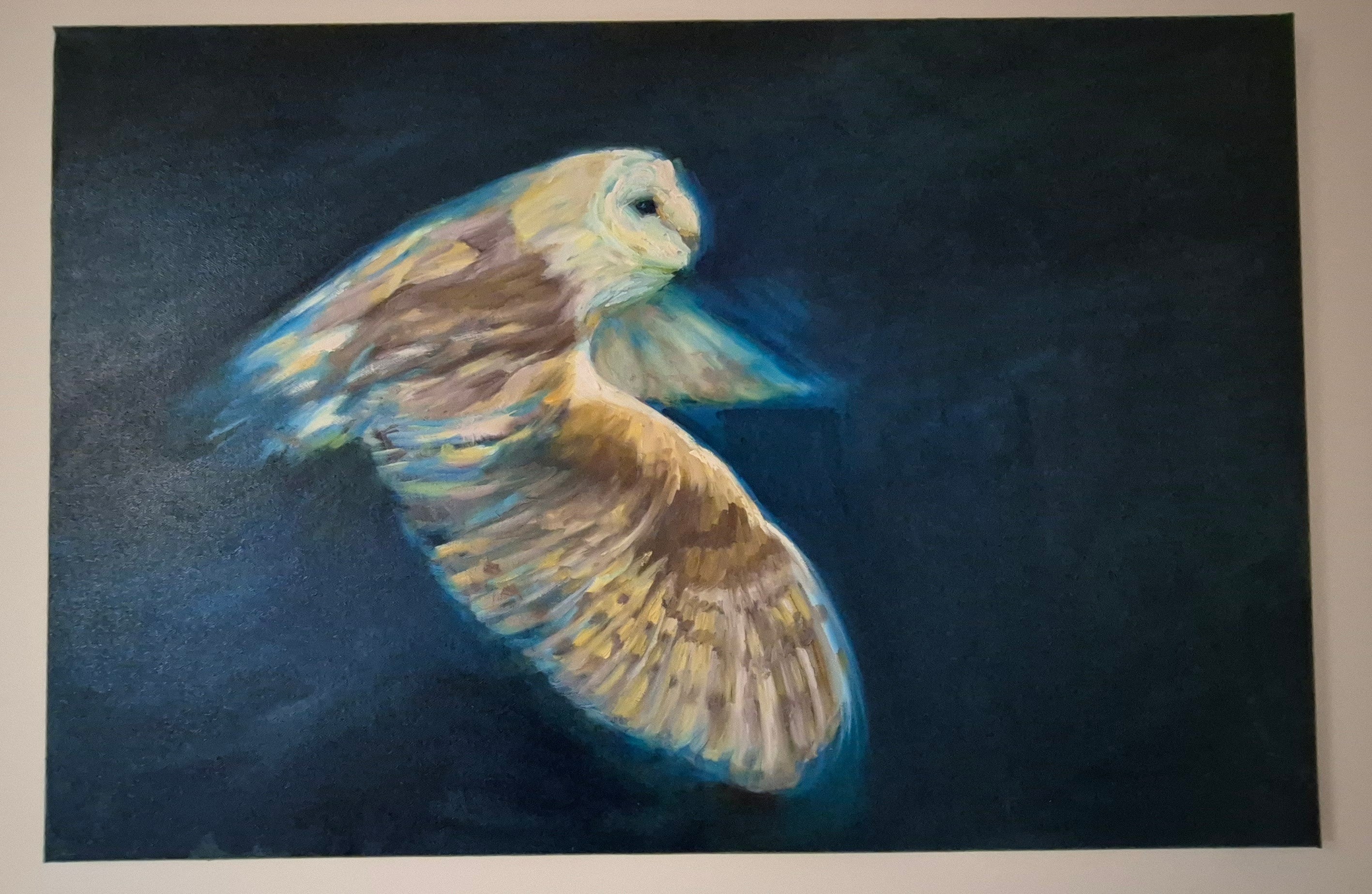 **Sold     'Free to Fly' - Original Barn Owl Oil Painting - 50 x 80 cm