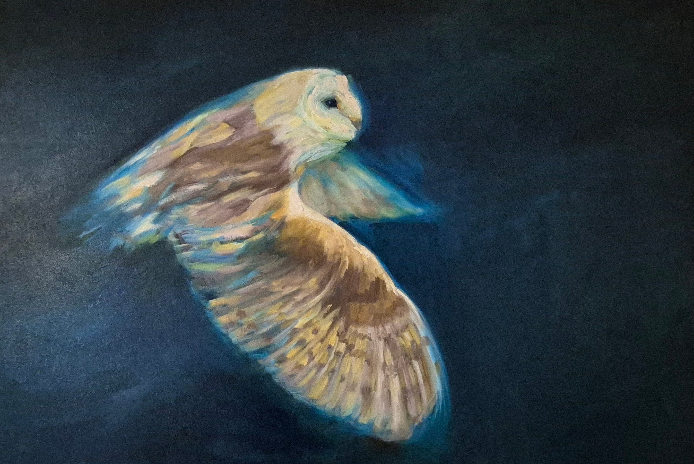 **Sold     'Free to Fly' - Original Barn Owl Oil Painting - 50 x 80 cm