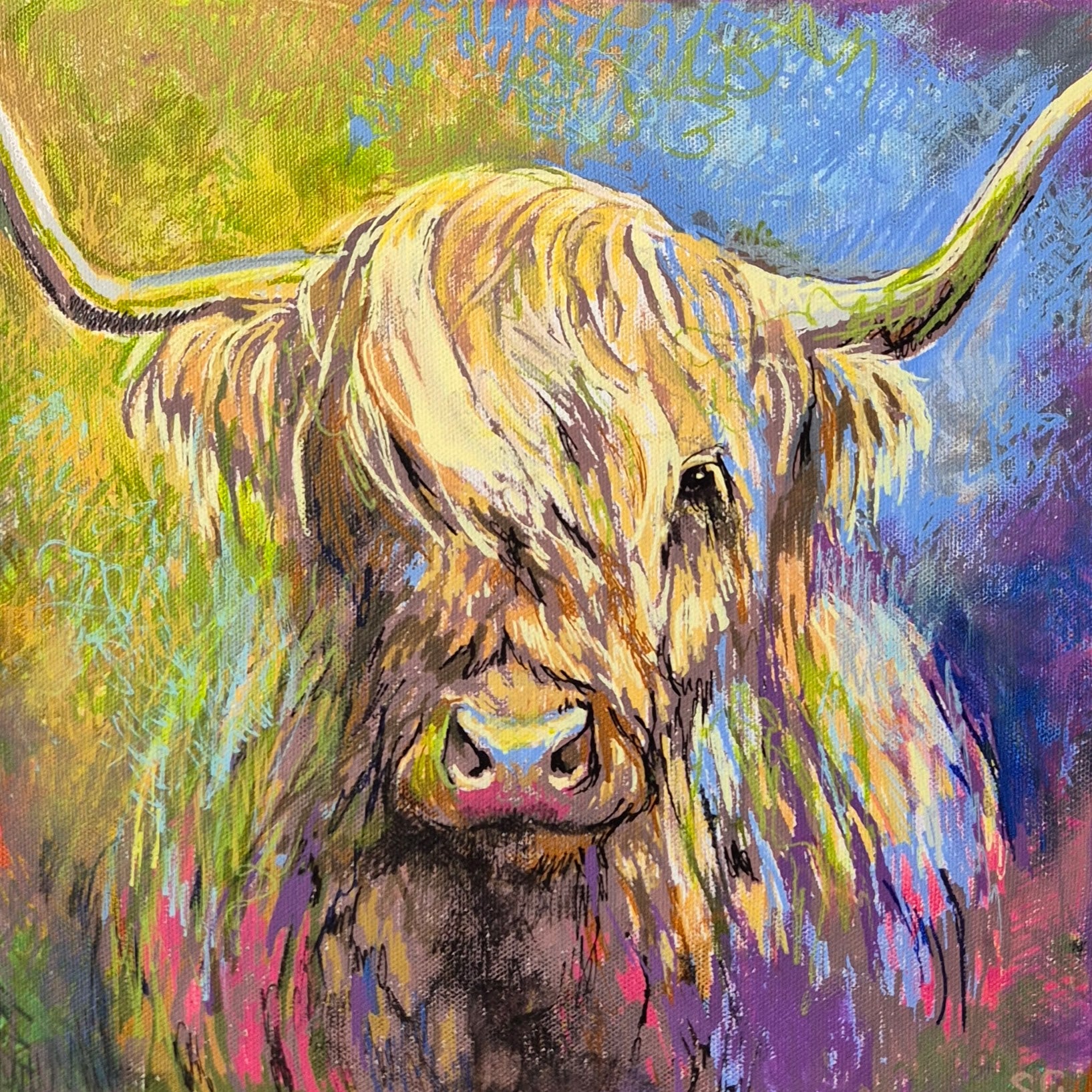 *Sold 'Highland Cow' Acrylic Drawing on Stretched Canvas 28 x 28 cm/ 11" x 11"