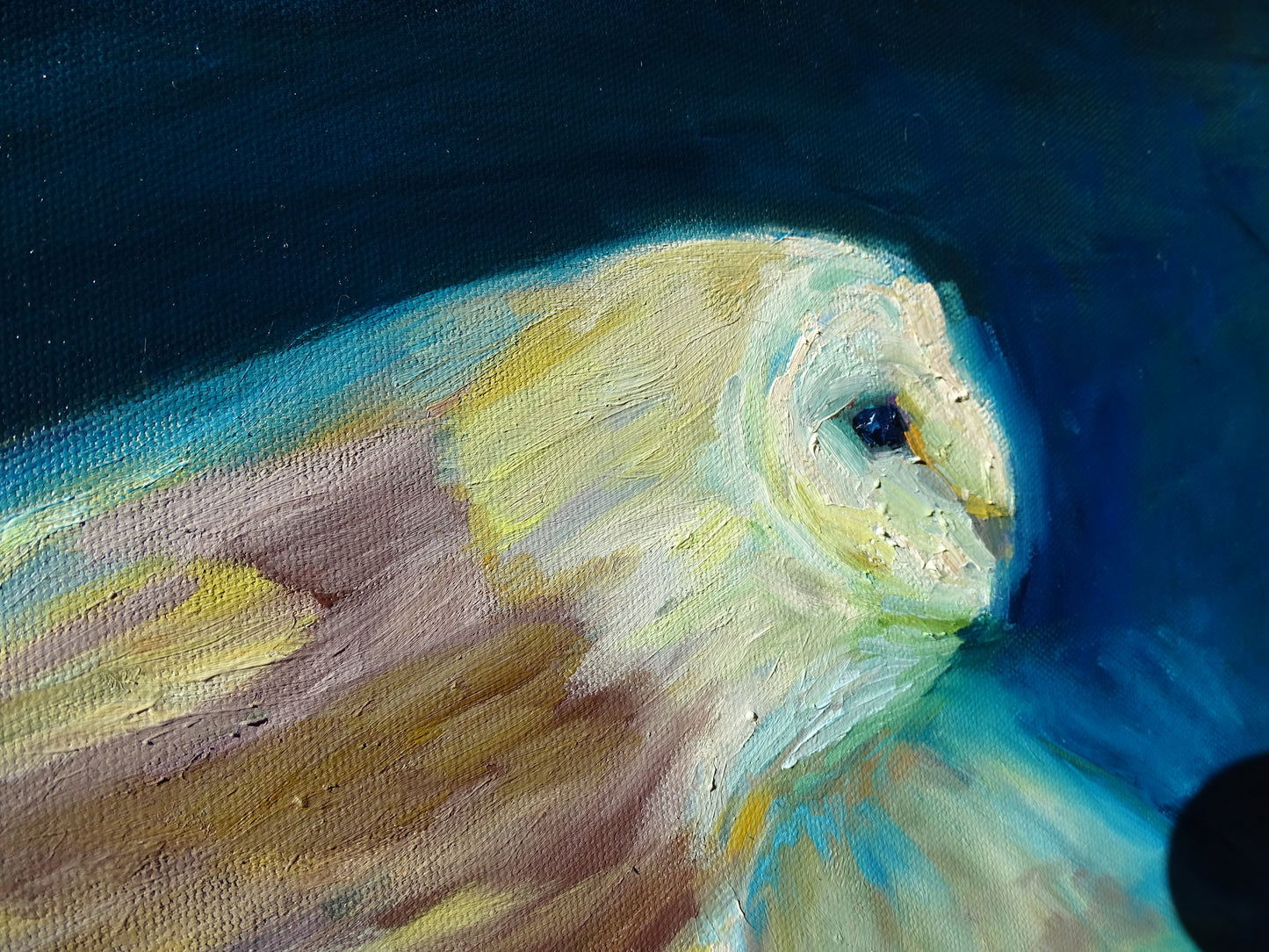 'Free to Fly' - Original Barn Owl Oil Painting - 50 x 80 cm