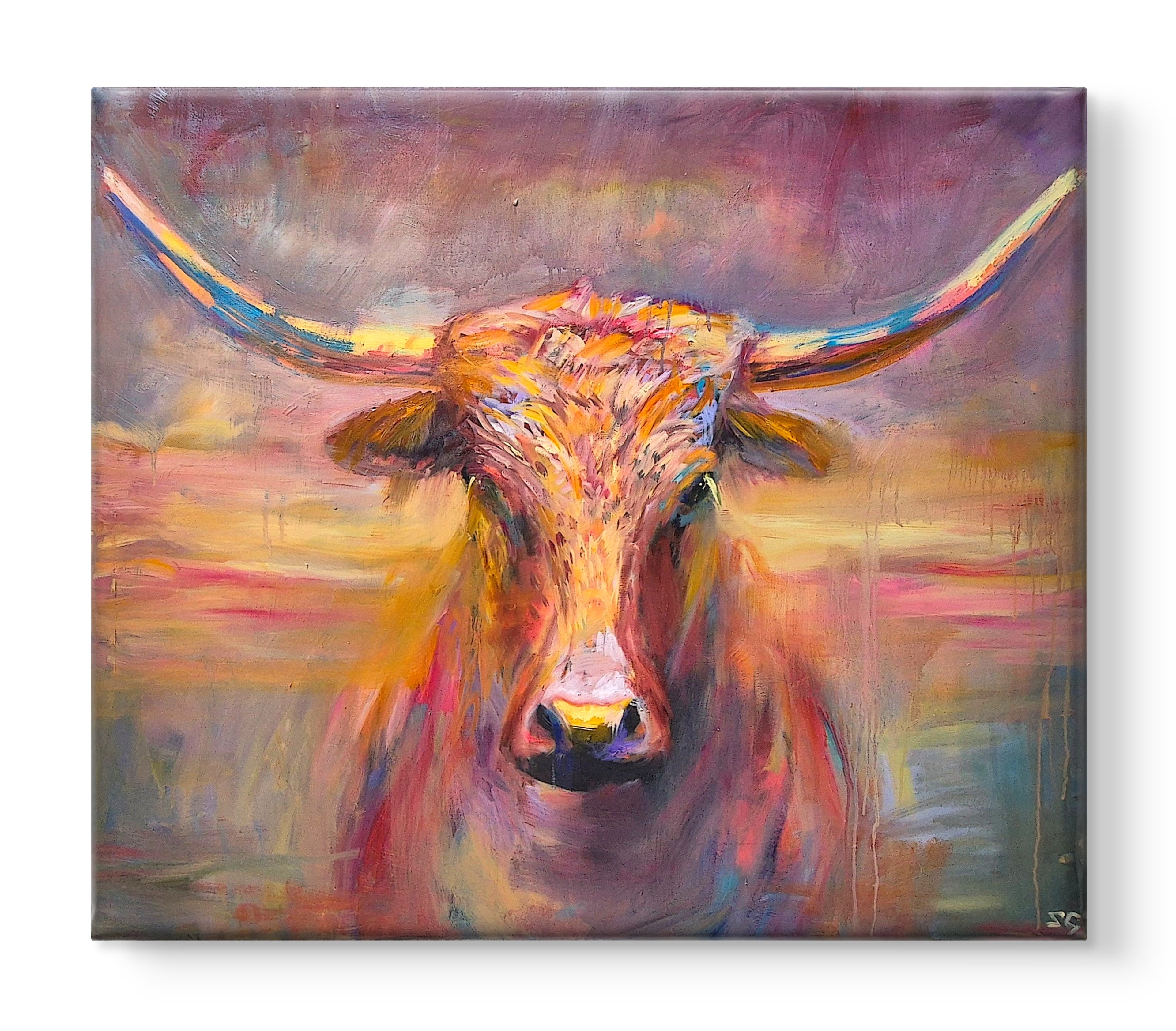 'Maverick' Original Texas Longhorn Oil Painting. 120 x 100 cm/50 x 40 "