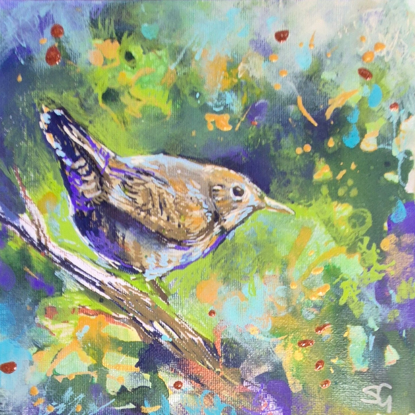 'Wren' drawing in acrylic on canvas panel 18 x 18 cm/ 7 x 7"