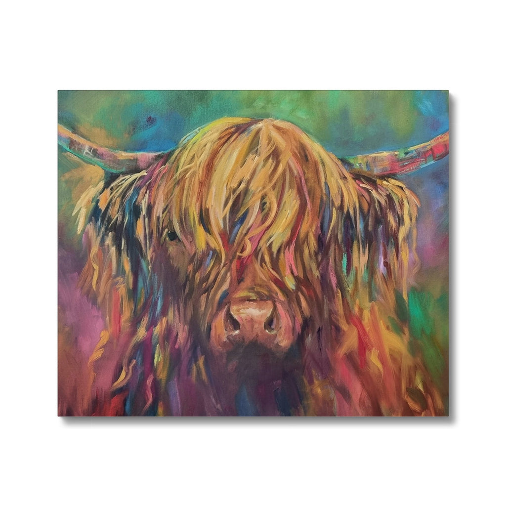 Highland Cow Picture