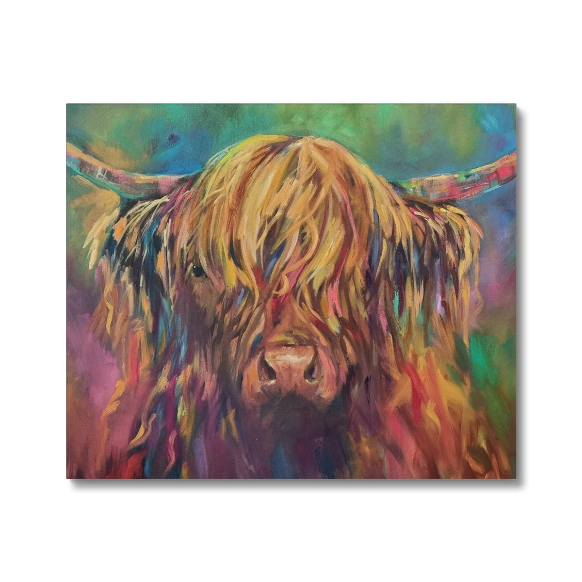 Highland Cow Picture