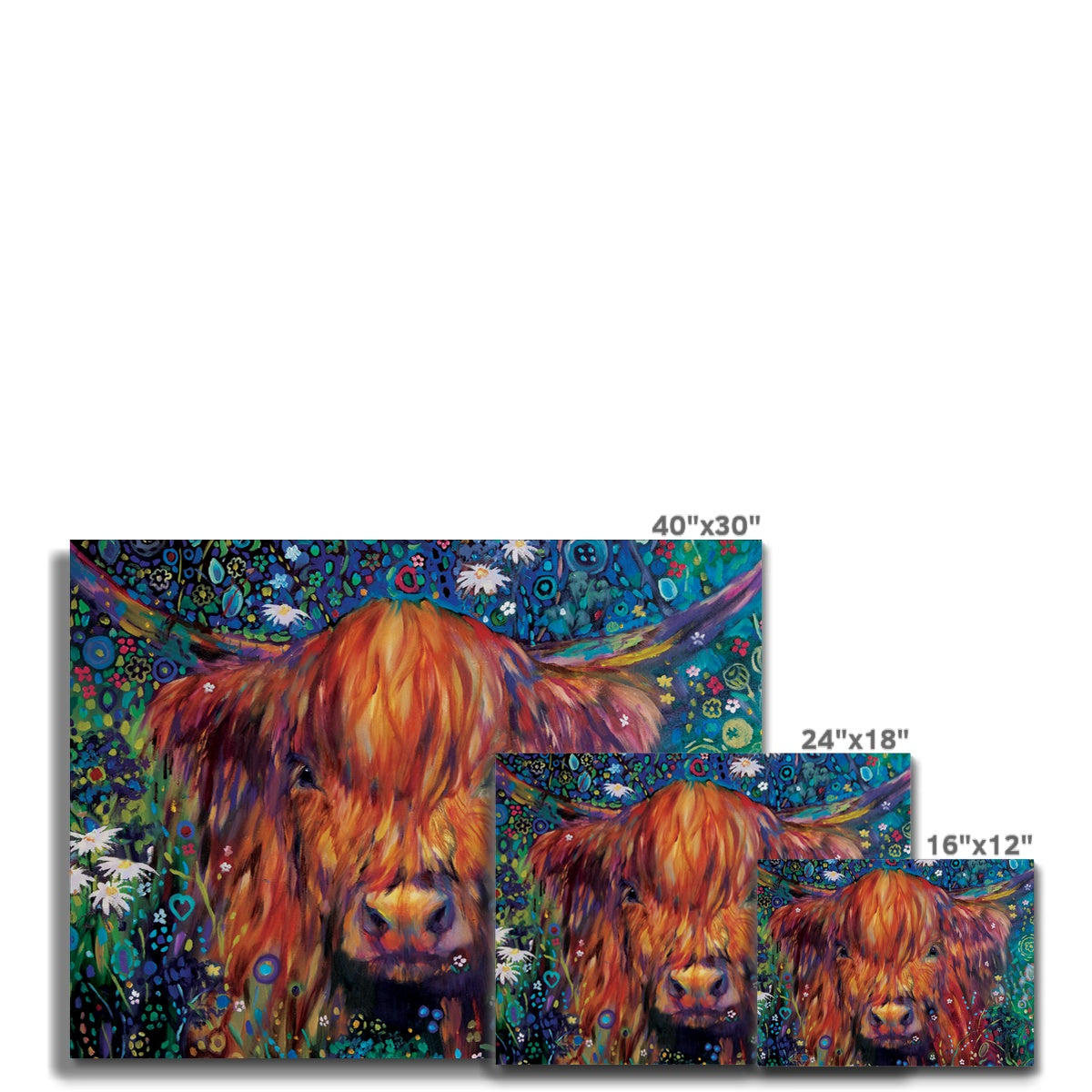 Braemar Daisies Canvas