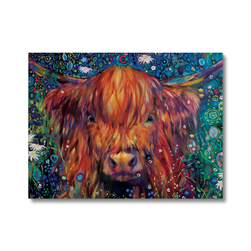 Highland Cow art with daisies by sue gardner