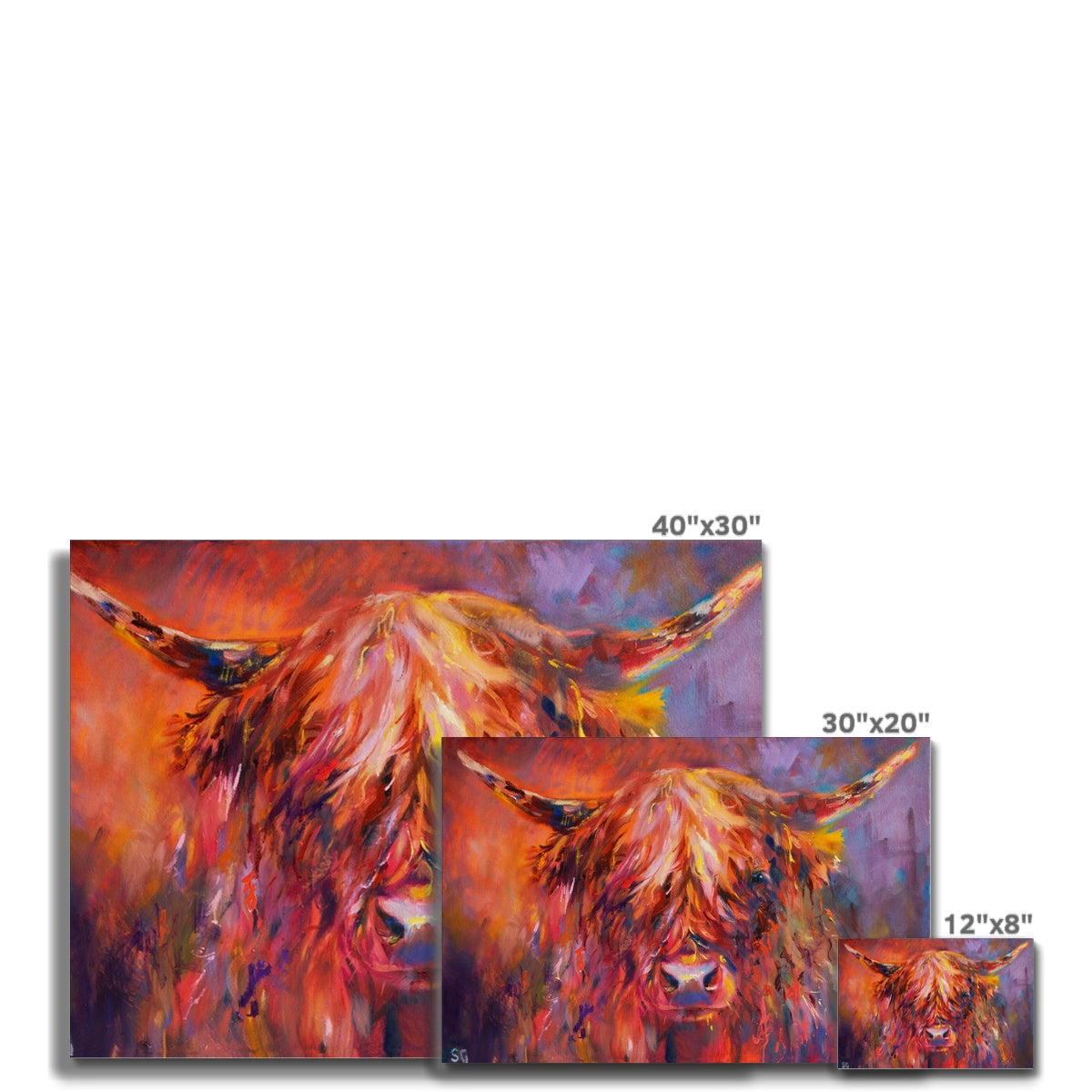 Islay - Highland Cow Canvas