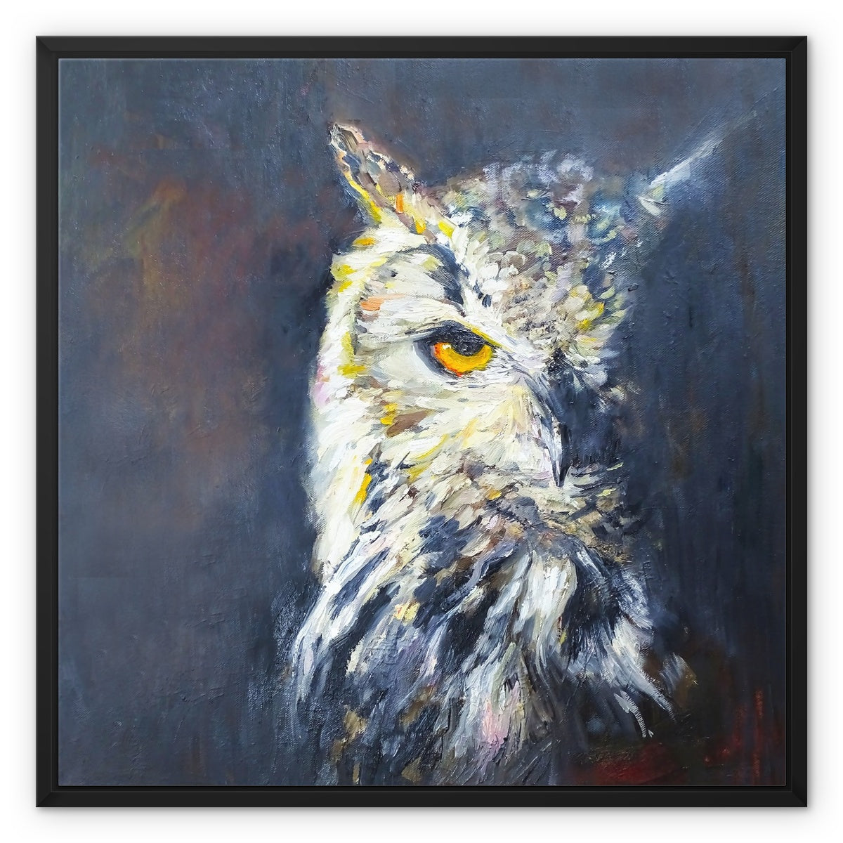 Glimfeather Framed Canvas