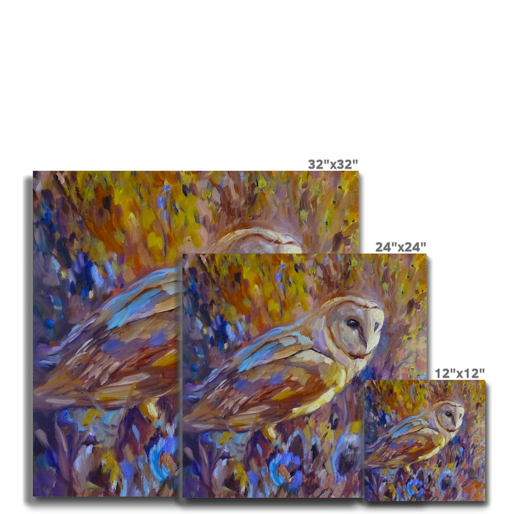 barn owl picture on canvas