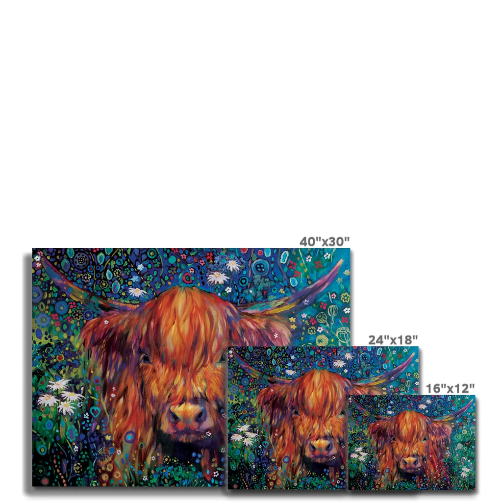 Braemar Daisies Canvas