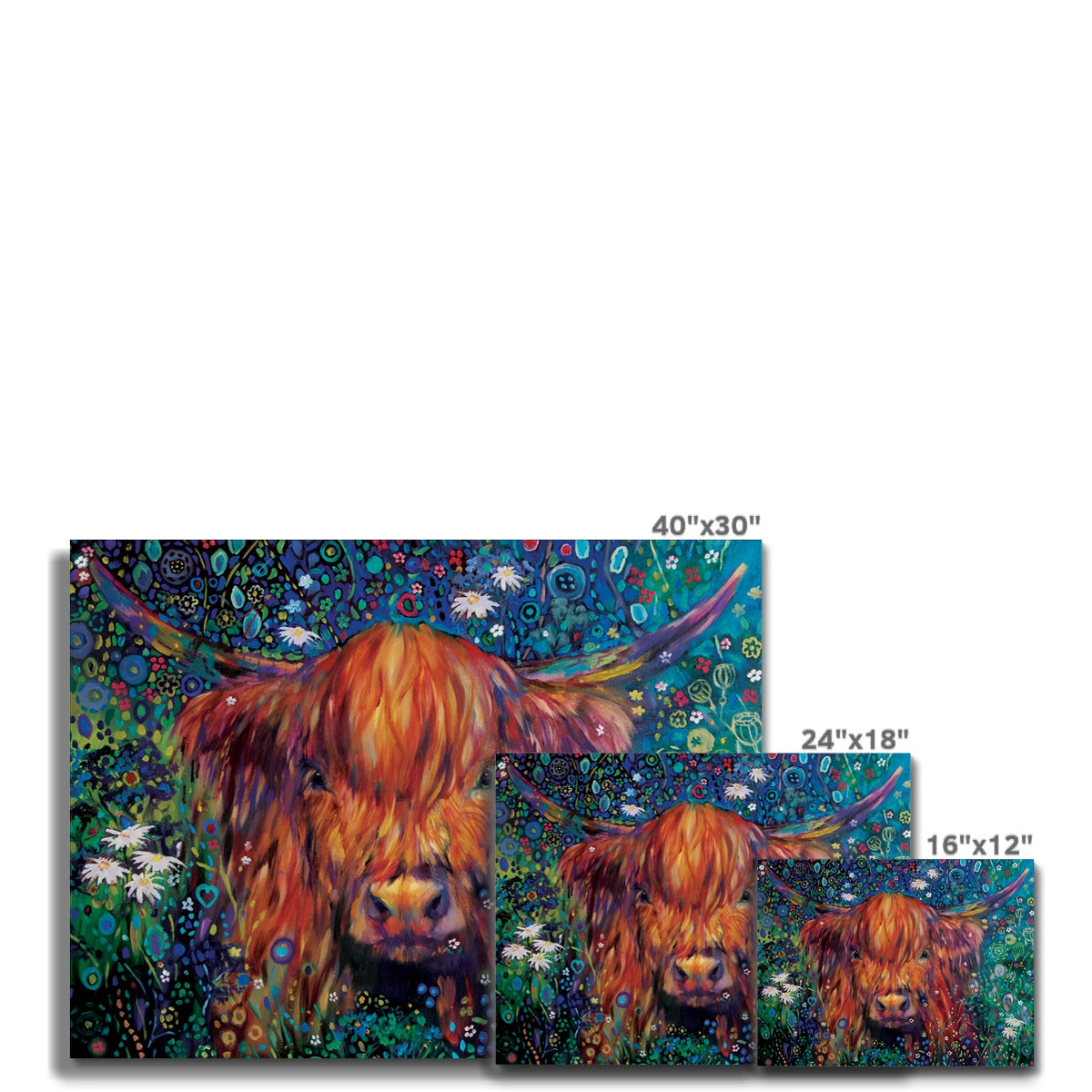 Braemar Daisies Canvas