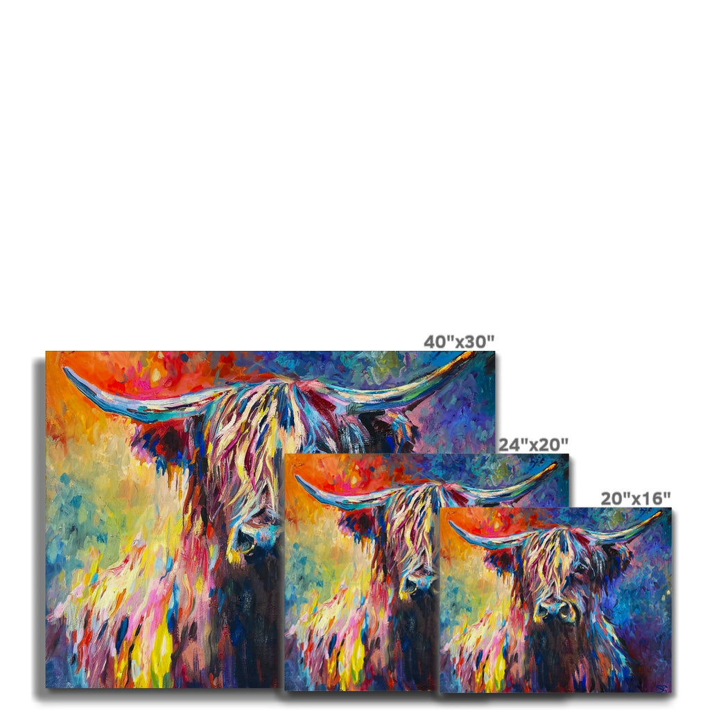 Highland Cow Canvas