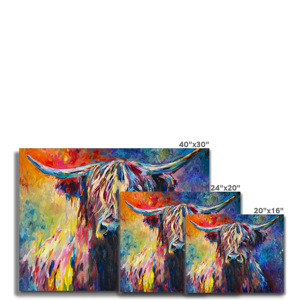 Highland Cow Canvas