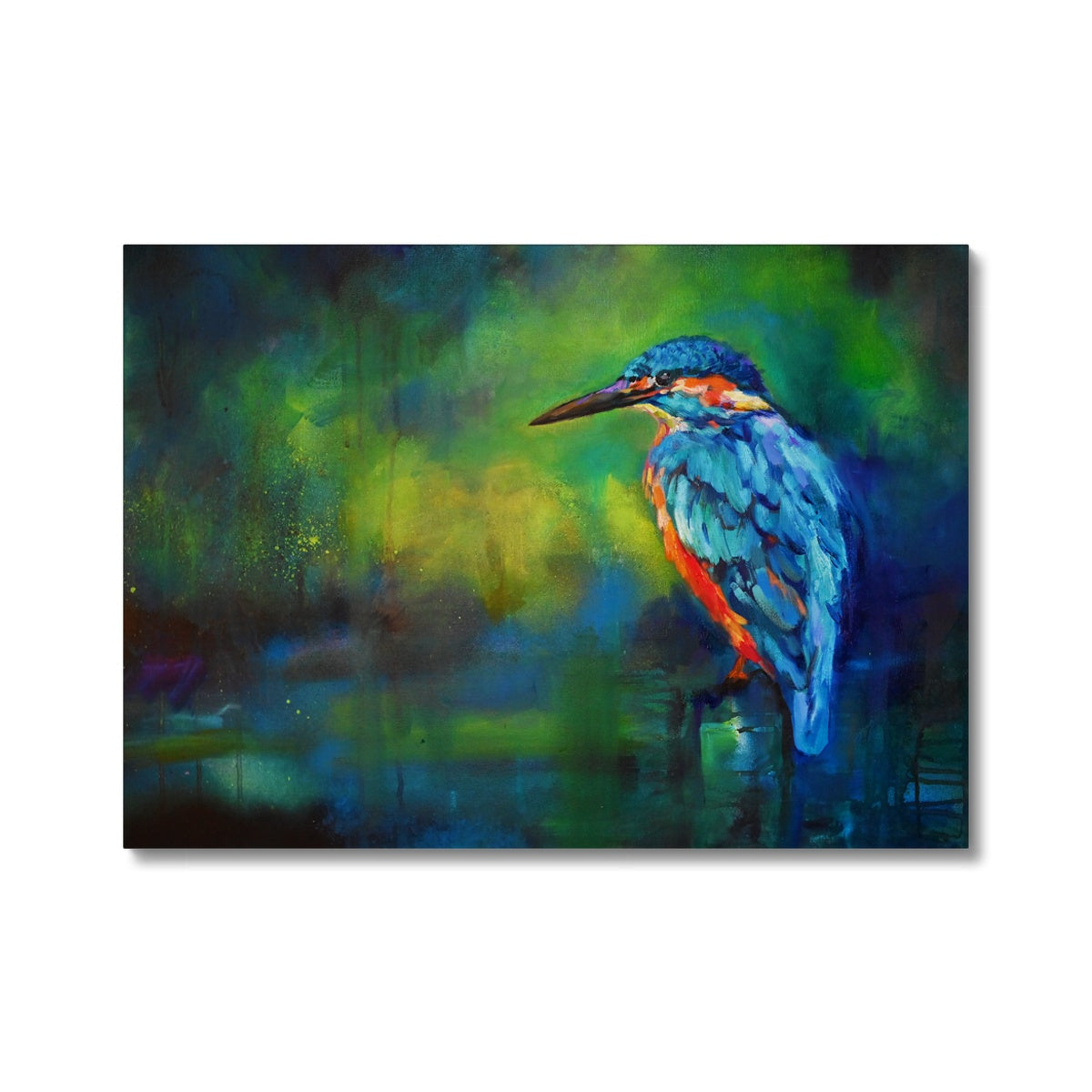 colourful kingfisher print
